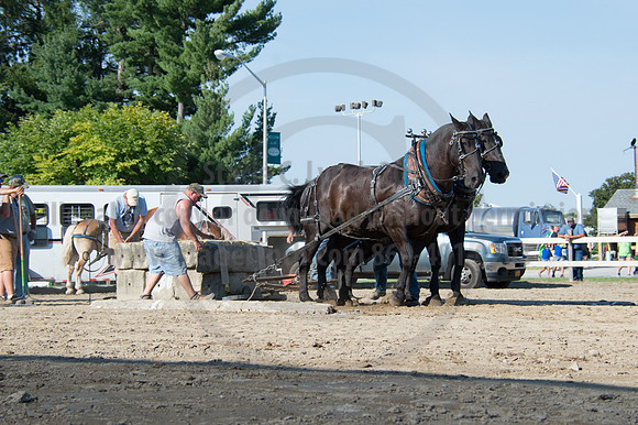 2016DCF_08242016_SCL_9465