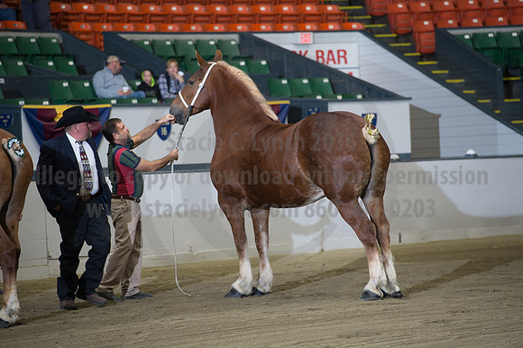 NABC8_10132016_SCL_5101