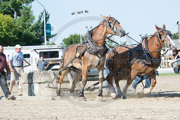 2016DCF_08242016_SCL_9440