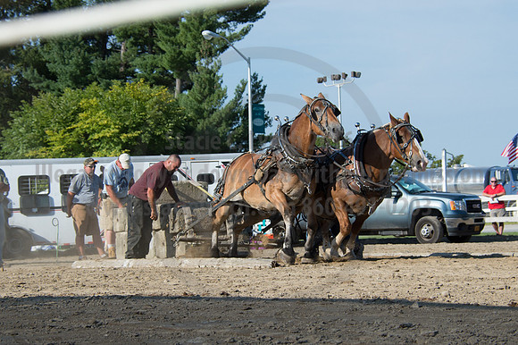2016DCF_08242016_SCL_9549