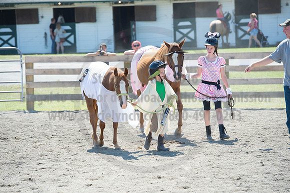 2016DCF_08272016_SCL_1269