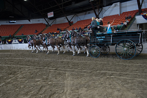 NABC8_10142016_SCL_8834