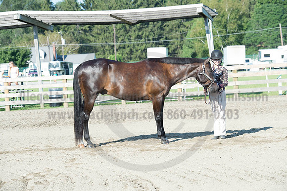 2016DCF_08272016_SCL_0931