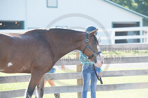 2016DCF_08272016_SCL_0910