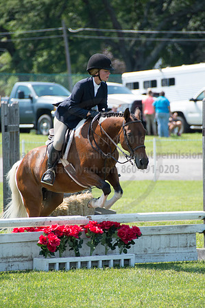 2016DCF_08242016_SCL_8865