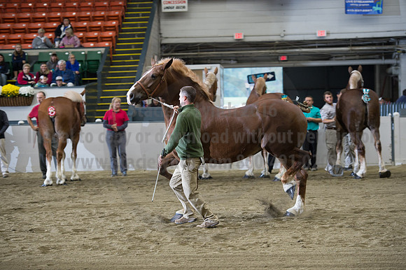 NABC8_10132016_SCL_5173