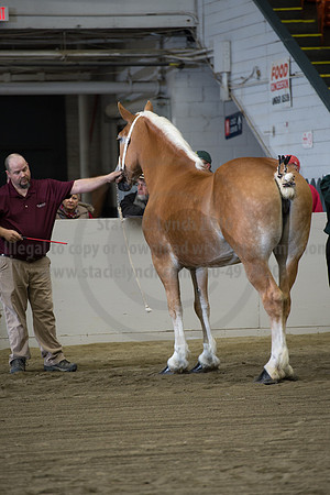 NABC8_10132016_SCL_5108