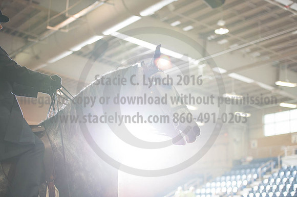 2016 _KILE_10082016_SCL9375