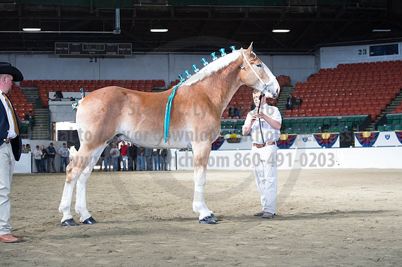 NABC8_10122016_SCL_2840