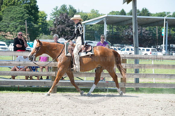 2016DCF_08272016_SCL_1307