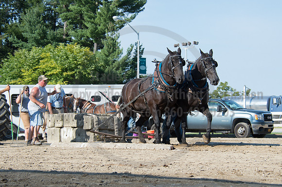 2016DCF_08242016_SCL_9466