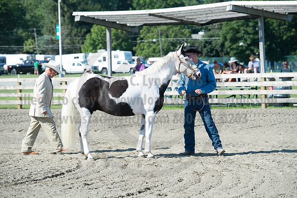 2016DCF_08272016_SCL_1031