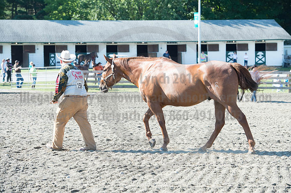2016DCF_08272016_SCL_1019