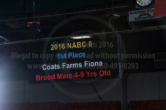 NABC8_10132016_SCL_5328