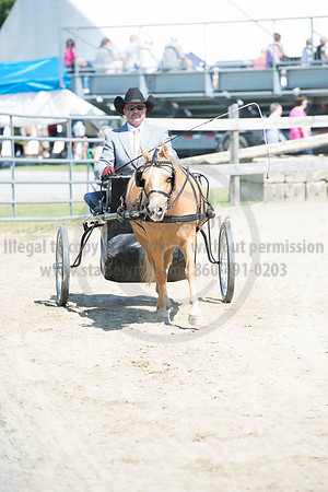 2016DCF_08272016_SCL_1163