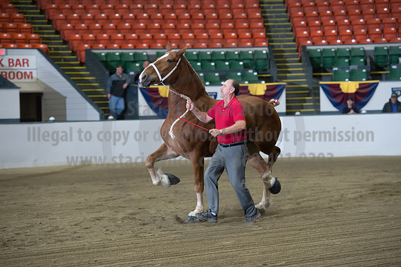 NABC8_10132016_SCL_5126