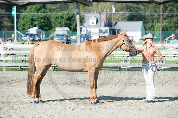 2016DCF_08272016_SCL_0966