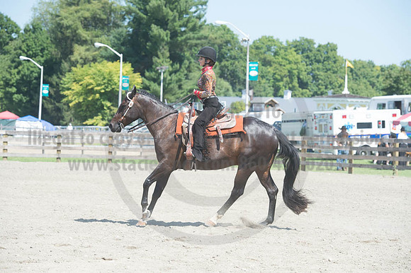 2016DCF_08272016_SCL_1230