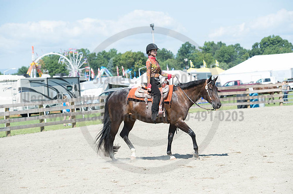 2016DCF_08272016_SCL_1232