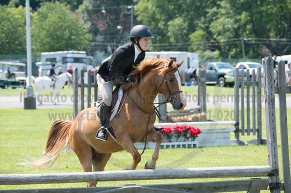 2016DCF_08242016_SCL_8891