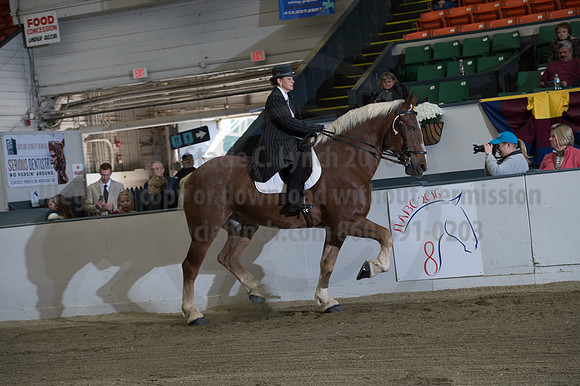 NABC8_10152016_SCL_0618