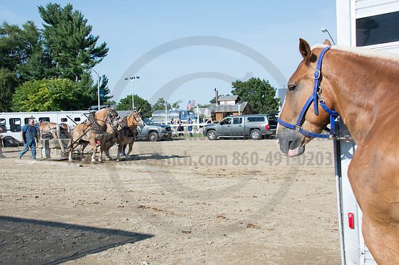 2016DCF_08242016_SCL_9444
