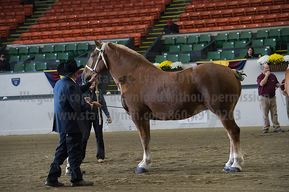 NABC8_10132016_SCL_5043