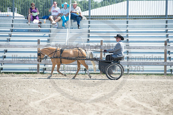 2016DCF_08272016_SCL_1162