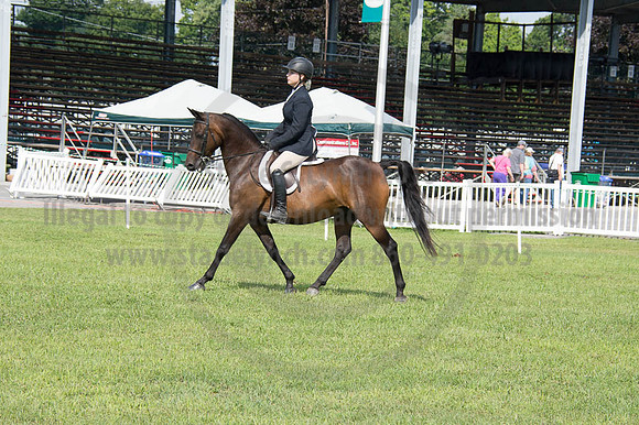 2016DCF_08252016_SCL_9709