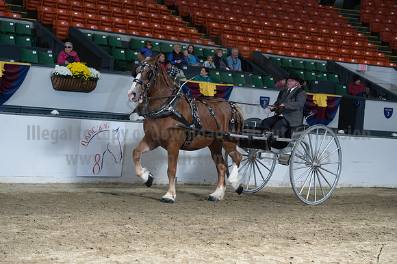 NABC8_10142016_SCL_8411