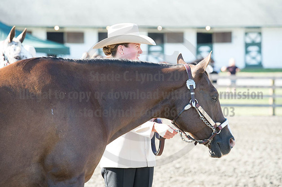 2016DCF_08272016_SCL_0965