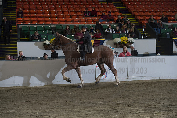 NABC8_10152016_SCL_0610