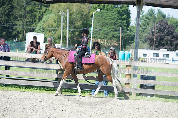 2016DCF_08272016_SCL_1133