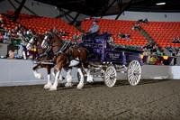 BigE_09272024_SCL0829