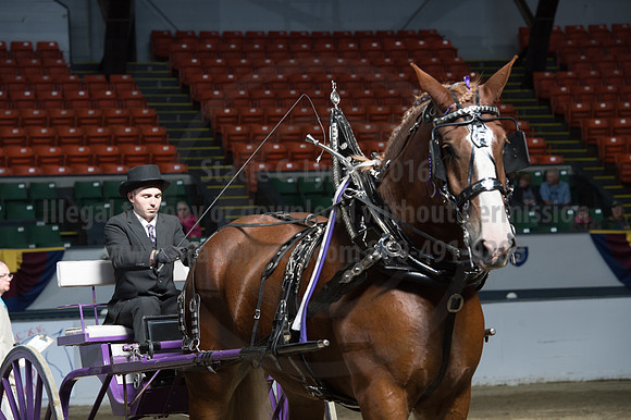 NABC8_10142016_SCL_8432