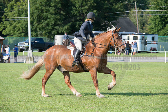 2016DCF_08242016_SCL_8344