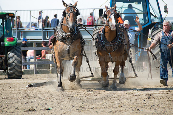 2016DCF_08242016_SCL_9365