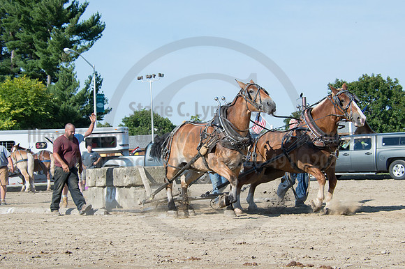 2016DCF_08242016_SCL_9441