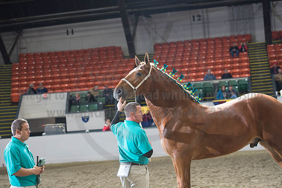 NABC8_10122016_SCL_2925