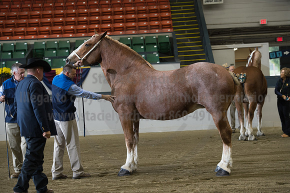 NABC8_10132016_SCL_5036