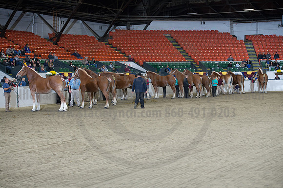 NABC8_10132016_SCL_5307