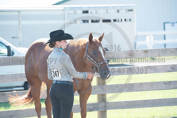 2016DCF_08272016_SCL_0994