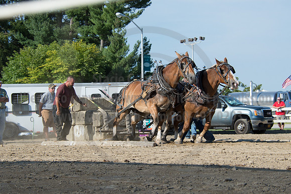 2016DCF_08242016_SCL_9545