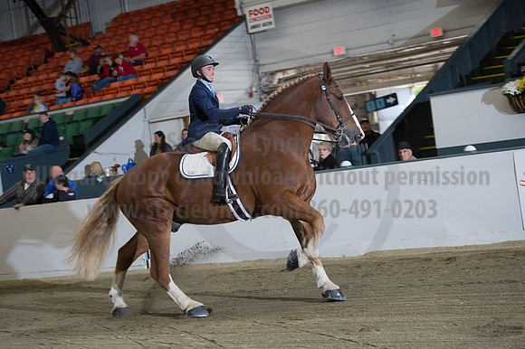 NABC8_10152016_SCL_0622