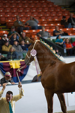NABC8_10122016_SCL_4131