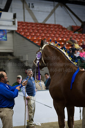 NABC8_10122016_SCL_4122