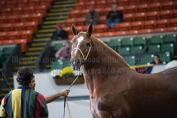 NABC8_10132016_SCL_5115