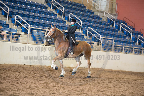 2016 _KILE_10082016_SCL9436
