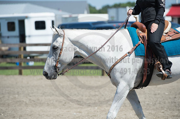 2016DCF_08272016_SCL_1322