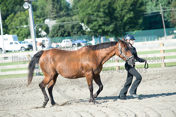 2016DCF_08272016_SCL_0916